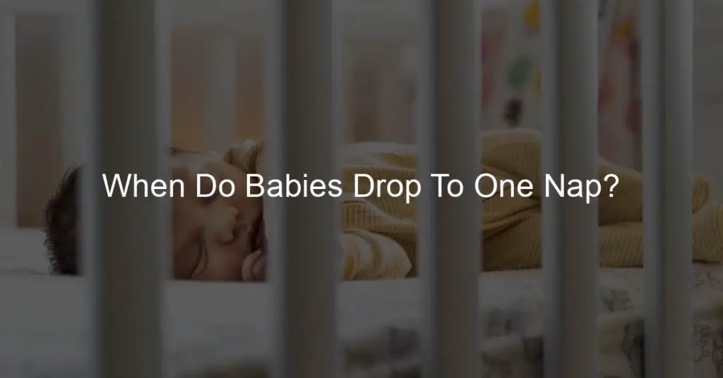 when do babies drop to one nap